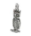 Eule Vogel Sterling Silber Charm .925 x 1 Eulen Vögel Charms