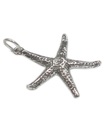 Charm de plata de ley con estrella de mar .925 x 1 Charms de estrellas de mar y orilla del mar