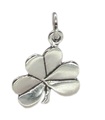 Ciondolo in argento sterling Shamrock Clover .925 x1 Shamrocks e portafortuna