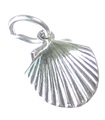 Schelp 2D sterling zilveren bedel .925 x 1 Schelpen Oyster Sea bedels