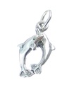 Playful Dolphins Sterling Silber Charm .925 x 1 Playing Dolphin Charms