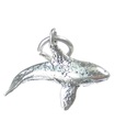 Orca Killer Whale charm i sterling silver .925 x 1 Orcas Whales berlocker