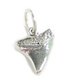 Shark Tooth sterling silver charm .925 x 1 Hajar tänder berlocker