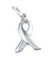 Awareness Charity ribbon sterling silver charm .925 x 1 Charities charms