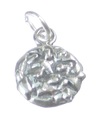 Breloque en argent sterling Choc Chip Cookie .925 x 1 Biscuit cookies charms