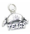 Gordeldier Texas sterling zilveren bedel .925 x 1 Texaanse gordeldier bedels