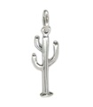 Ciondolo in argento sterling cactus .925 x 1 ciondoli cactus piante del deserto