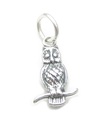 Charm de plata de ley pájaro búho .925 x 1 Charm búhos pájaros