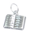 Charm de plata esterlina para libro .925 x 1 Libros Writer Author Reading charms