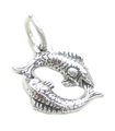 Fiskarna Charm i sterling silver .925 x 1 Zodiac Fishes Fishy berlocker