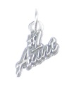 Number One Aunt sterling silver charm .925 x 1 Aunts Family charms