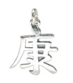 Chinesisches Gesundheitszeichen Sterling Silber Charm .925 x 1 Gesunde Charms