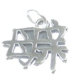 Ciondolo in argento sterling con carattere madre cinese .925 x1 ciondoli mamma madre