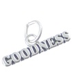 Goodness sterling zilveren bedel .925 x1 Well Being Happy expression charms