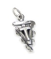 Vet Tech symbol charm i sterling silver .925 x 1 Veterinär charm