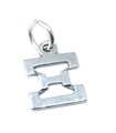 Xi Griechisches Alphabet Sterling Silber Charm .925 x 1 Symbole XI Charms