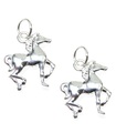 Set van 2 kleine sterling zilveren bedeltjes voor paarden .925 x1 bedel voor paarden