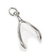 Wishbone sterling zilveren bedel .925 x 1 Lucky en Lucky Charms