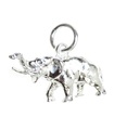 Elefant charm i silver .925 x 1 Elefant berlocker FNC031