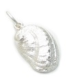 Orma Shell charm i sterling silver .925 x 1 Ormas skal charmar