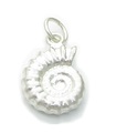 Breloque ammonite en argent sterling .925 x 1 Breloques fossiles Coquilles d'ammonites