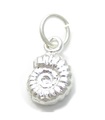 Ciondolo in argento sterling con ammonite .925 x 1 Ciondoli conchiglia fossile Conchiglie di ammonite