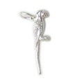 Parrot Sterling Silver Charm .925 x 1 papegojor fågelfåglar charm