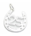 25 i Horseshoe sterling silver charm .925 x 1 25: e bröllopsdag