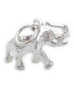 Elefant charm i silver .925 x 1 Elefant charm