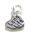 Long Life hjärta i sterlingsilver charm med klipplänk .925 x1 Love charms