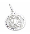 Escorpio Dije de plata esterlina Escorpión .925 x 1 Dijes pequeños del zodiaco