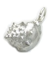 Charm de concha de plata esterlina .925 x 1 charms de conchas