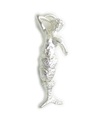 Meerjungfrau Sterling Silber Charm .925 x 1 Meerjungfrauen Mer Maid Charms