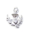 Thistle sterling silver charm .925 x 1 Thistles & Scottish charms