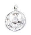 Pendentif chardon en argent sterling .925 x 1 breloques chardons