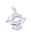 Poissons poisson PETIT charme en argent sterling .925 x 1 charmes du zodiaque