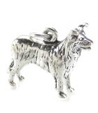 Hund Silver Charms