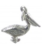 Vogel - Ornithologie Silber Charms