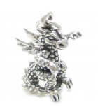 Charmes d'argent de dragon