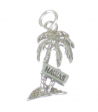 Hawaii Silber Charms