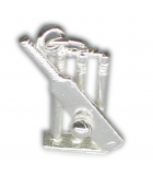 Charms de plata de cricket