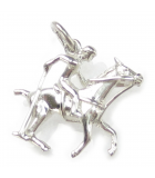 Charms de plata de polo