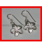 Boucles d'oreilles pendantes en argent sterling