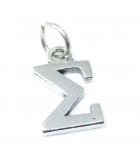 Griechischer Buchstabe Silber Charms